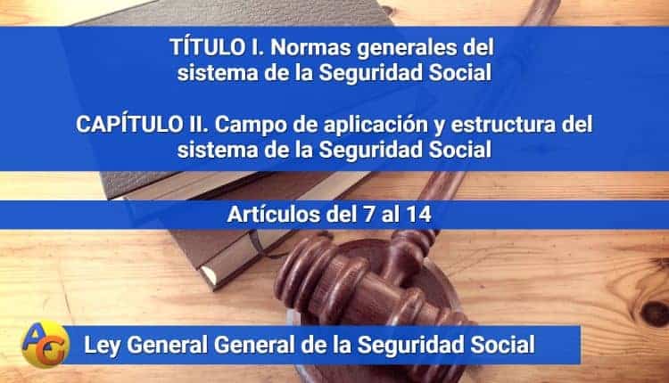 CAPÍTULO II. Campo de aplicación y estructura del sistema de la Seguridad Social