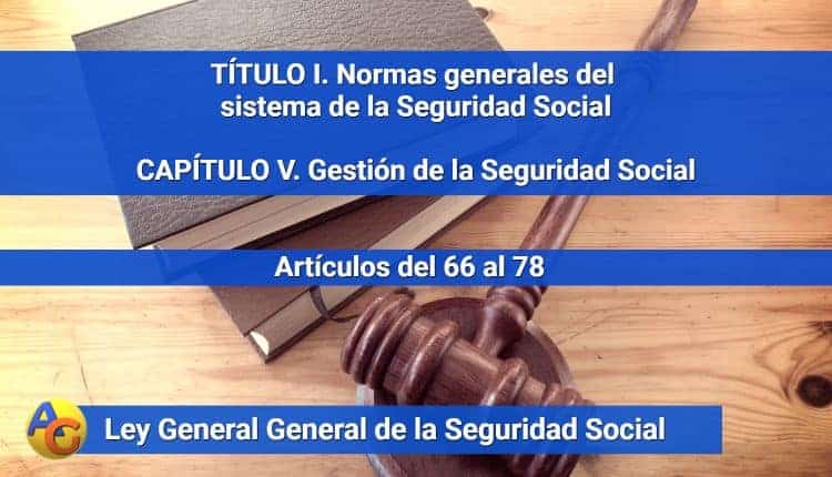 CAPÍTULO V. Gestión de la Seguridad Social
